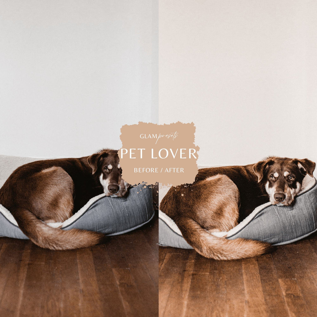 Pet Lover Lightroom Presets Glampresets 